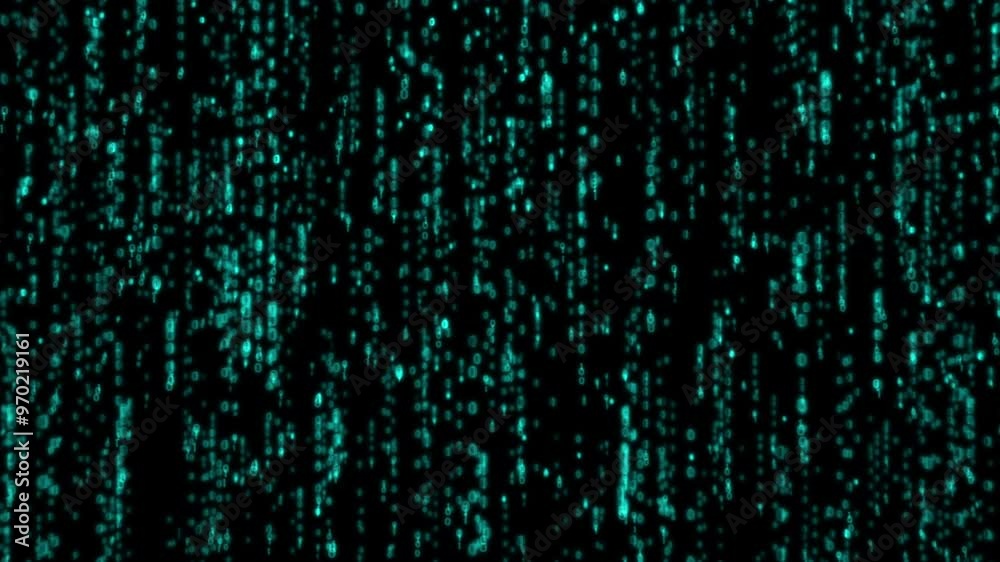 Fototapete Animation, coding and green matrix with data for digital transformation, future or cyber on black background. Programming, software and information technology abstract on network, system and pattern