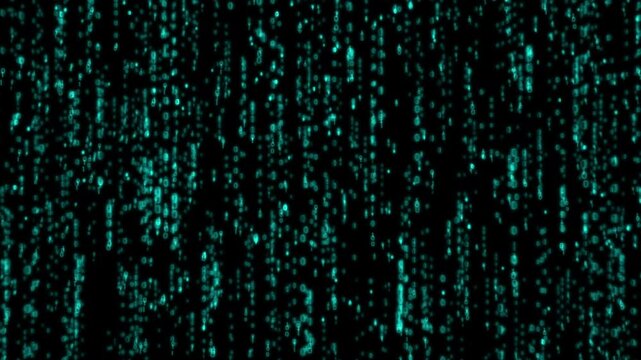 Animation, coding and green matrix with data for digital transformation, future or cyber on black background. Programming, software and information technology abstract on network, system and pattern
