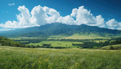 Maui, Hawaii, tropical island, paradise, ocean, vacation photo, typical place
