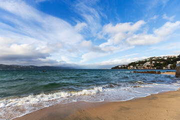 A scenic coastal view at Oriental Bay in Wellington, New Zealand, featuring gentle ocean waves, sandy shores, and residential buildings in the distance