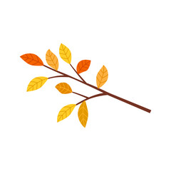 Naklejka premium Autumn branch isolated on white background.
