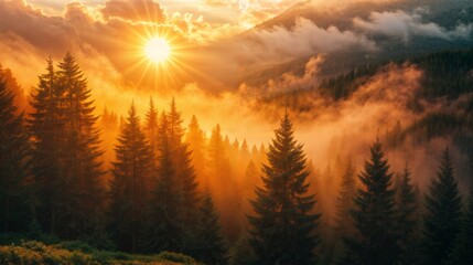 Obraz premium A breathtaking sunrise illuminates a misty mountain forest, with warm sunlight piercing through the fog over towering pine trees..