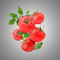 Fresh tomatoes with green leaves in air on grey background