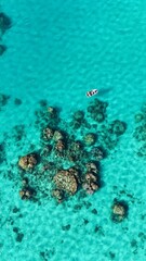 Snorkelling in the sea