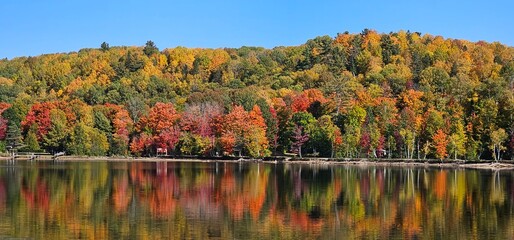 autumn landscape with lake
