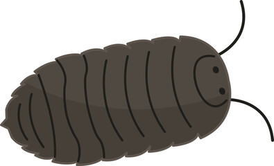 Woodlouse animal