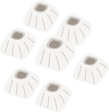 Illustration of Barnacles