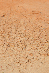 Cracked red dirt road