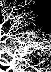 silueta arbol, arbusto, hojas, ramas, otoño, ilustracion, bosques, naturaleza, sequia, atmosfera