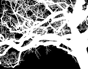 silueta arbol, arbusto, hojas, ramas, otoño, ilustracion, bosques, naturaleza, sequia, atmosfera