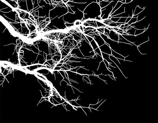 silueta arbol, arbusto, hojas, ramas, oto&ntilde;o, ilustracion, bosques, naturaleza, sequia, atmosfera