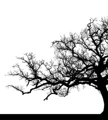 silueta arbol, arbusto, hojas, ramas, otoño, ilustracion, bosques, naturaleza, sequia, atmosfera