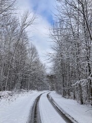 Fototapeta premium road in winter