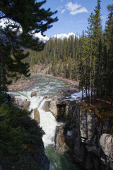 Sunwapta Falls in the Spring