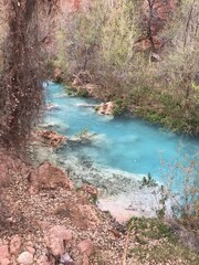 Obraz premium river in the forest