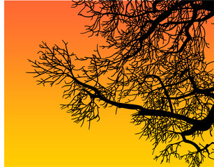 silueta arbol, arbusto, hojas, ramas, otoño, ilustracion, bosques, naturaleza, sequia, atmosfera