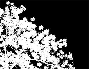 Fototapeta premium silueta arbol, arbusto, hojas, ramas, otoño, ilustracion, bosques, naturaleza, sequia, atmosfera