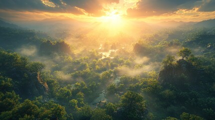 Obraz premium Sunbeams Illuminating a Misty Forest Valley