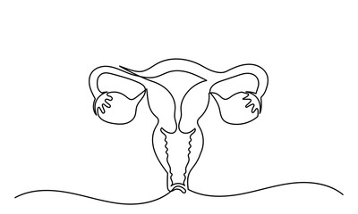 Continuous line drawing of women's Uterus and Ovary. One line Female reproductive system uterus vector illustration isolated on white background.