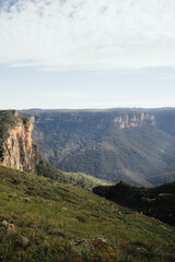 Looking over a forest mountain range on a hiking trail