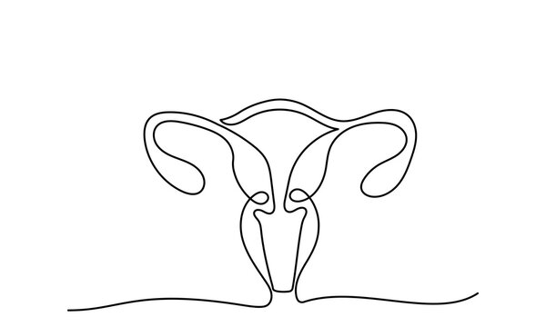 Continuous line drawing of women's Uterus and Ovary. One line Female reproductive system uterus vector illustration isolated on white background.