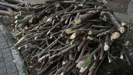 Several pieces of wood branches are placed in a pile on the ground

