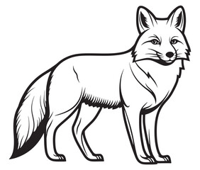 Fox cartoon isolated on white background outline drawing