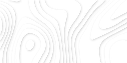 Fototapeta premium Abstract modern 3d Paper cut white background .white waves background ,paper art style, flyers posters prints .geometric background overlap layer. 
