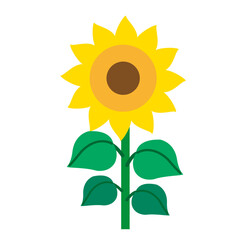 シンプルな可愛い向日葵の花の花のイラスト