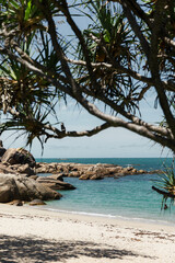 palm trees looking over clear blue water