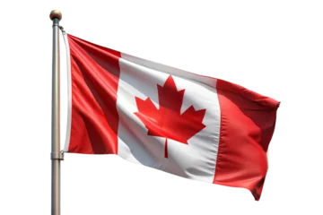 canadian flag waving in wind