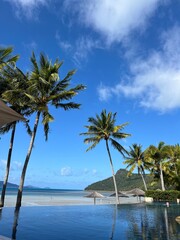 Fototapeta premium palm trees on the beach