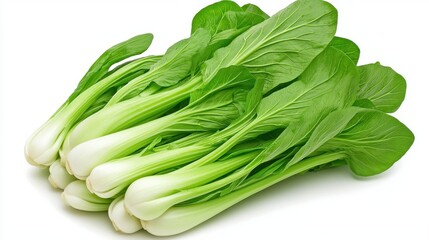 Fresh Green Bok Choy Vegetable Isolated on White Background