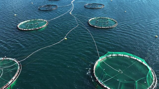 Aerial of a fish farm in one of the many Fjords along the coast of Norway