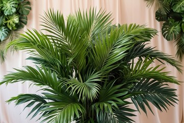 Fototapeta premium Tropical Palm Arrangement with Lush Greenery on Soft Backgrounds