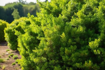 Naklejka premium Understanding the Concept of Absence in Various Contexts