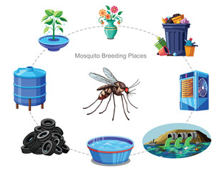 Mosquitoes breed in stagnant water like puddles, ponds, and containers, spreading diseases like malaria, dengue, and Zika. Removing standing water helps prevent breeding and illness.