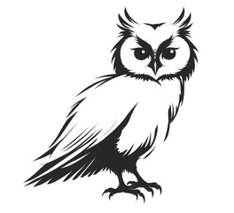 Obraz premium Black white silhouette owl owl standing all fours Silhouette of