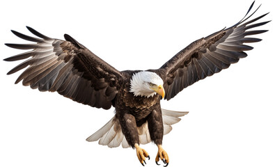 Obraz premium an isolated bald eagle (Haliaeetus leucocephalus) , flying in motion and in landing position, wildlife, Wildlife-themed, photorealistic illustration on a transparent background PNG. generative ai