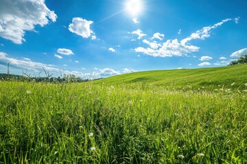 Green Land, Blue Sky, Summer Sunny Day Background, Wide View Of Lawn Hill and Blue Sky , ai