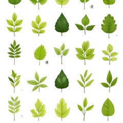 Fototapeta premium Seamless pattern with natural and fresh various leaves on white background