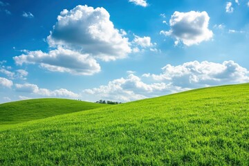 Obraz premium Green Land, Blue Sky, Summer Sunny Day Background, Wide View Of Lawn Hill and Blue Sky , ai