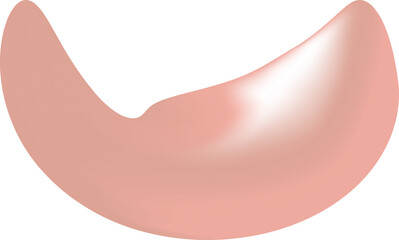 Rosé Gold Abstract Fluid Shape Element