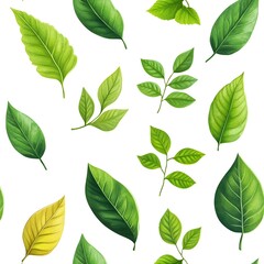 Seamless pattern of natural and fresh various leaves on white background