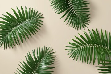 Fototapeta premium 3D Display of Lush Palm Leaves on Minimalistic Backgrounds