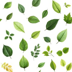 Naklejka premium Seamless Pattern with Diverse Natural and Fresh Leaves on Clean White Background