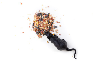 Toy mouse nibbling grains of bird seed isolated over white