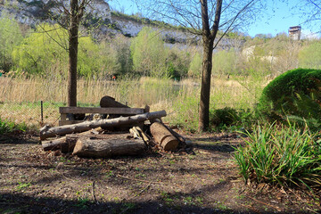 A pile of logs in a woodland scene at Bluewater in North Kent