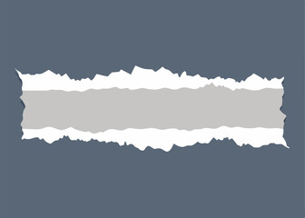 Rectangular Ripped paper. torn paper. Decoration and texture.