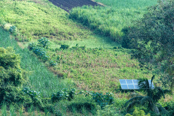 Solar panels installed in a farm with standing crops in the countryside near Pune India.